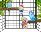 Bird Perch Stand Toy with Rotatable Balls, Wooden Perch for Bird Cage, Suitable for Green Cheeked Conure, Budgie, and Pineapple Conure